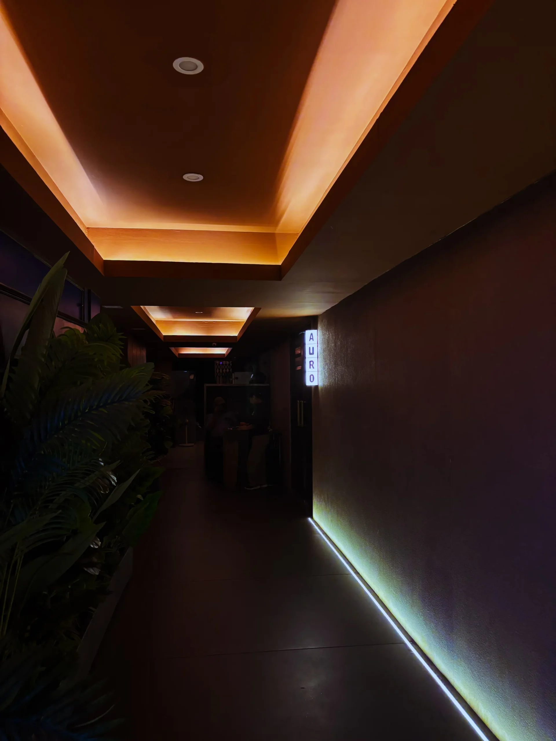 Restaurant ambience 4